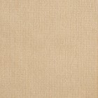 Лоскут плюш, 50 × 50 см, 220 г/м, цвет бежевый №34 - фото 8722048