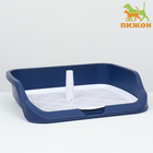 Туалет открытый 53×45×13 см, синий - Фото 1