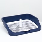 Туалет открытый 53×45×13 см, синий - Фото 2