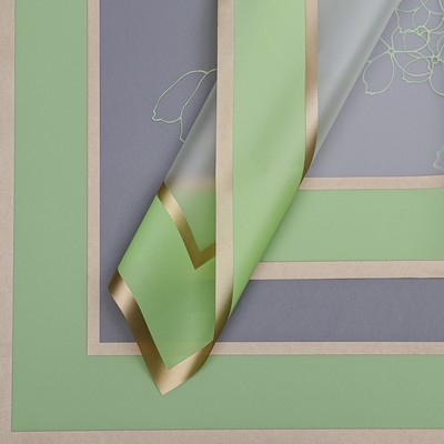 Пленка для цветов матовая, «Цветы с каймой», 58×58 см, зелёный