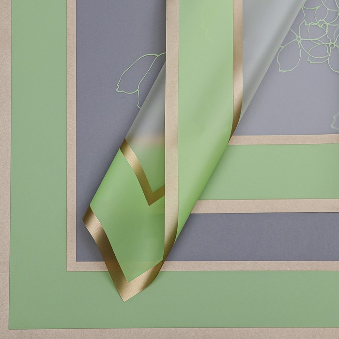 Пленка для цветов матовая, «Цветы с каймой», 58×58 см, зелёный - Фото 1