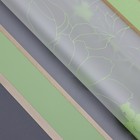 Пленка для цветов матовая, «Цветы с каймой», 58×58 см, зелёный - Фото 2