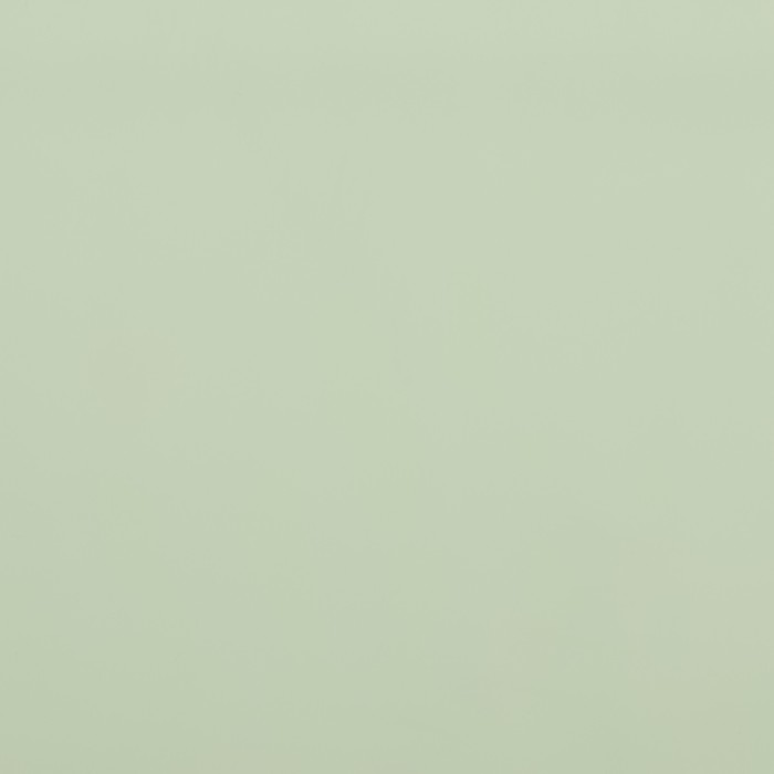 Пленка для цветов матовая, "Пожелания", 58х58см, зелёный