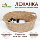 Экологичный лежак для животных (хлопок+рогоз),  40 х 30 х 15 см, 9945303 - фото 72495055