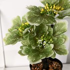 Бонсай в горшке «Вейгела», 10×23 см, МИКС - фото 23507775