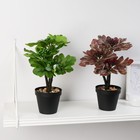 Бонсай в горшке «Вейгела», 10×23 см, МИКС - фото 23507776