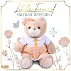 Мягкая игрушка "Little Friend", кошечка в персиковом платье - фото 109556687