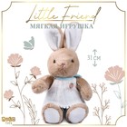 Мягкая игрушка "Little Friend", зайка в платье, цвет микс - фото 2940155