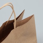 Пакет подарочный крафтовый, упаковка, «Цветочный» 22 х 25 х 12 см (комплект 10 шт) - фото 24345202