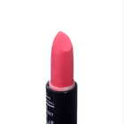 Помада для губ JEANMISHEL 3D эффект тон 10 коралловый, 14 г - Фото 6