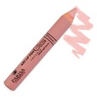 Помада-карандаш для губ № 1, розовый нюд - фото 301410254