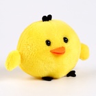 Мягкая игрушка «Цыплёнок» - Фото 3