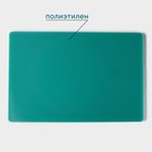 Доска профессиональная разделочная Доляна, 60×40×1,8 см, цвет зелёный - Фото 2
