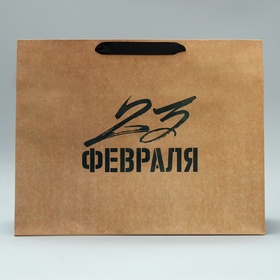 Пакет подарочный крафтовый, упаковка, «С 23 февраля», L 40 х 31 х 11.5 см (комплект 2 шт)