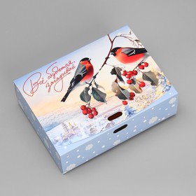 Коробка подарочная «Снегири», 16.5 х 12.5 х 5 см, БЕЗ ЛЕНТЫ