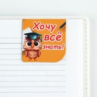 Магнитные закладки для книг, 3 шт. на подложке «Выпускник удачи во всем» - Фото 4