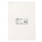 Планинг недатированный А4, 12 листов, на гребне, мягкая обложка, «Планинг модницы» - Фото 17