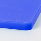 Доска профессиональная разделочная Доляна, 60×40 см, цвет синий - Фото 3