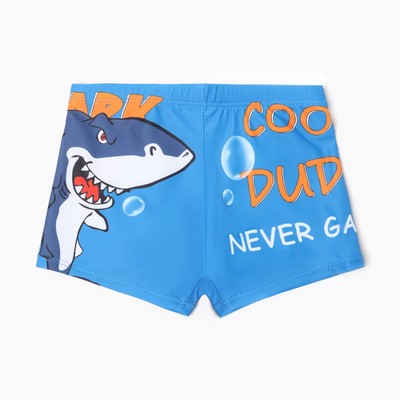 Купальные трусы для мальчика MINAKU Cool, рост 98-104 см (4)