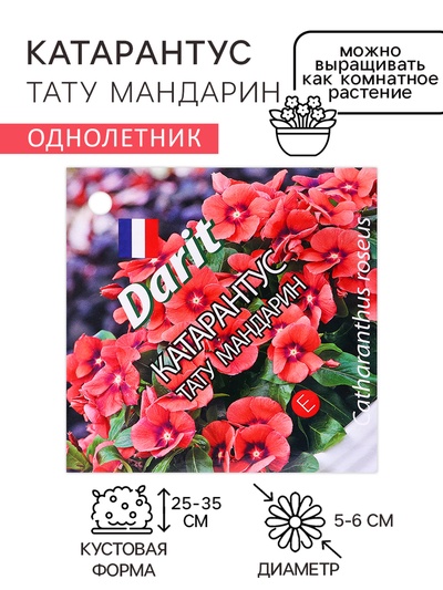 Семена цветов Катарантус "Тату Мандарин", 7 шт
