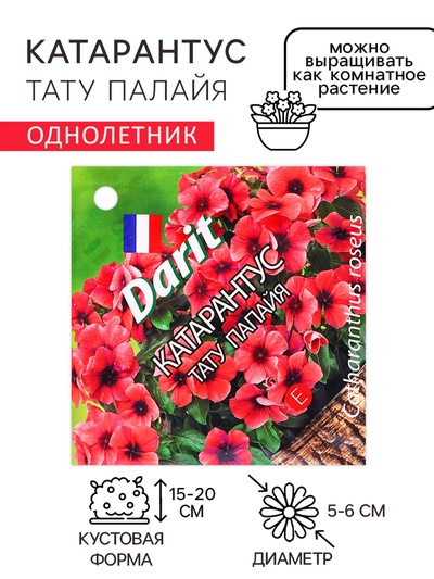 Семена цветов Катарантус "Тату Палайя", 7 шт