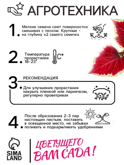 Семена Цветов Колеус «Визард Скарлет», 10 шт., «Агроуспех»