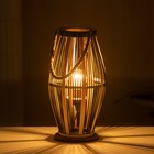 Настольная лампа «Джая» Е27 15 Вт черный 20×20×38 см RISALUX - Фото 6