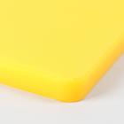 Доска профессиональная разделочная Доляна, 60×40×1,8 см, цвет жёлтый - Фото 3