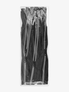 Молния «Трактор», №8, разъёмная, замок автомат, 60 см, чёрная, белая 9900872