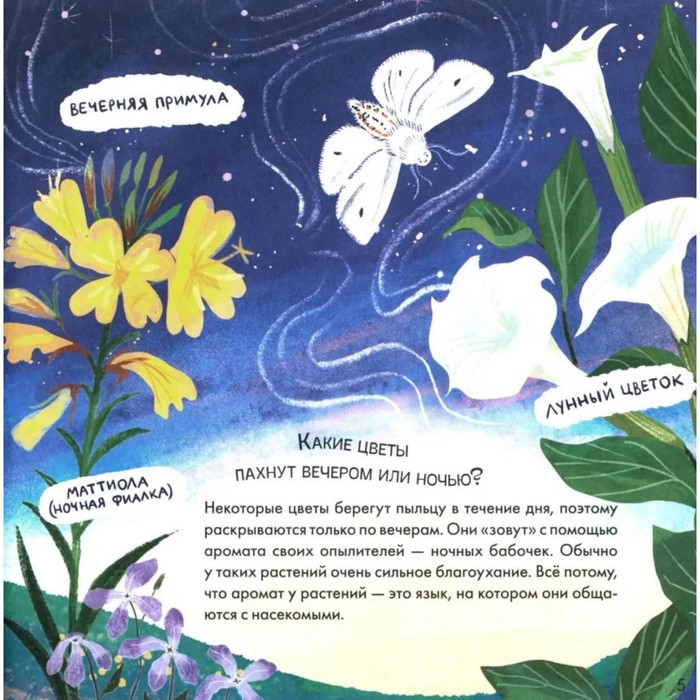 Книжка «Где моя звёздочка?», Мироненко А. 10289587