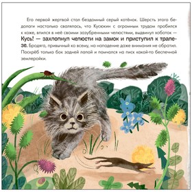 Книга детская «Чем знаменит Кусь?», 28 стр., Мироненко А.А