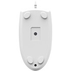 Мышь A4Tech N-530 белый оптическая (1200dpi) USB (2but) - фото 51512263 Мышь A4Tech N-530 белый оптическая (1200dpi) USB (2but) - фото 51512263