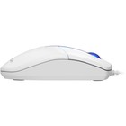 Мышь A4Tech N-530 белый оптическая (1200dpi) USB (2but) - фото 51512266 Мышь A4Tech N-530 белый оптическая (1200dpi) USB (2but) - фото 51512266