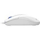 Мышь A4Tech N-530 белый оптическая (1200dpi) USB (2but) - фото 51512267 Мышь A4Tech N-530 белый оптическая (1200dpi) USB (2but) - фото 51512267