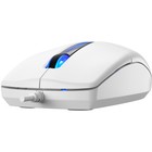 Мышь A4Tech N-530 белый оптическая (1200dpi) USB (2but) - фото 51512268 Мышь A4Tech N-530 белый оптическая (1200dpi) USB (2but) - фото 51512268