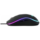Мышь Оклик 723GM черный оптическая (3200dpi) USB (6but) - фото 51512838 Мышь Оклик 723GM черный оптическая (3200dpi) USB (6but) - фото 51512838