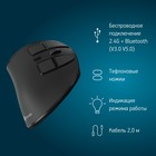 Мышь Оклик 990MW черный оптическая (2400dpi) silent беспроводная BT/Radio USB для ноутбука 1029405 - фото 51643010 Мышь Оклик 990MW черный оптическая (2400dpi) silent беспроводная BT/Radio USB для ноутбука 1029405 - фото 51643010