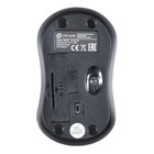 Мышь Оклик 605SW черный/синий оптическая (1200dpi) беспроводная USB для ноутбука (3but) - фото 51524994 Мышь Оклик 605SW черный/синий оптическая (1200dpi) беспроводная USB для ноутбука (3but) - фото 51524994