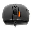 Мышь A4Tech V-Track Padless N-70FX черный оптическая (1600dpi) USB для ноутбука (7but) - фото 51525243 Мышь A4Tech V-Track Padless N-70FX черный оптическая (1600dpi) USB для ноутбука (7but) - фото 51525243