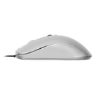 Мышь Оклик 155M серебристый оптическая (1600dpi) USB (4but) - фото 51525324 Мышь Оклик 155M серебристый оптическая (1600dpi) USB (4but) - фото 51525324