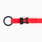 Ошейник для собак биотановый ОШ 25-45 см, красный - фото 23940344