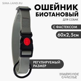 {{productViewItem.photos[photoViewList.activeNavIndex].Alt || productViewItem.photos[photoViewList.activeNavIndex].Description || 'Ошейник для собак биотановый ОШ 40-60 см, графитовый'}}