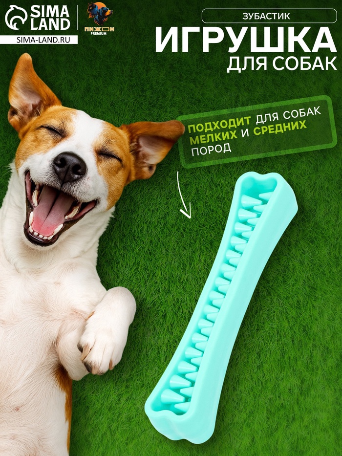 Игрушка-зубочистка для собак Пижон Premium «Зубастик», 18.3×3.8 см, цвет мятный