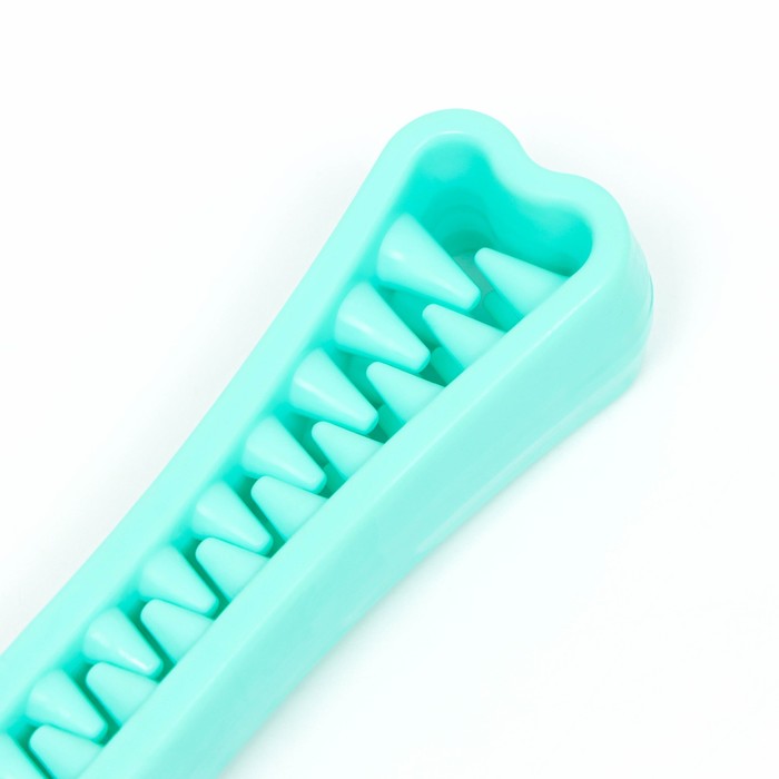Игрушка-зубочистка для собак Пижон Premium "Зубастик", 18,3 х 3,8 см, мятная