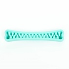 Игрушка-зубочистка для собак Пижон Premium «Зубастик», 18.3×3.8 см, мятная - фото 60829046