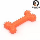 Игрушка-зубочистка для собак Пижон Premium "Кость", 15 х 5,5 см, оранжевая - фото 320951155