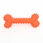 Игрушка-зубочистка для собак Пижон Premium "Кость", 15 х 5,5 см, оранжевая - фото 8725589