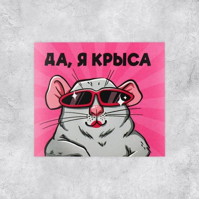 Набор стикеров «Ля ты крыса», 6 х 7 см, 10 шт