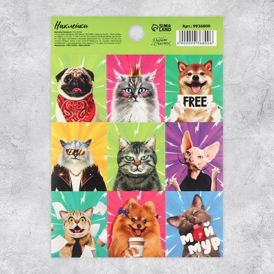 Наклейки детские бумажные «Мой мур» , 11 х 15.5 см