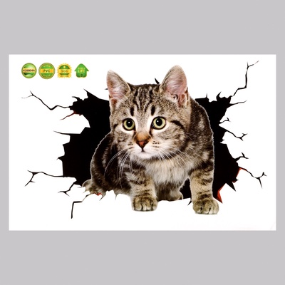 Наклейка интерьерная 3Д TAKE IT EASY «Котик», 30×20 см